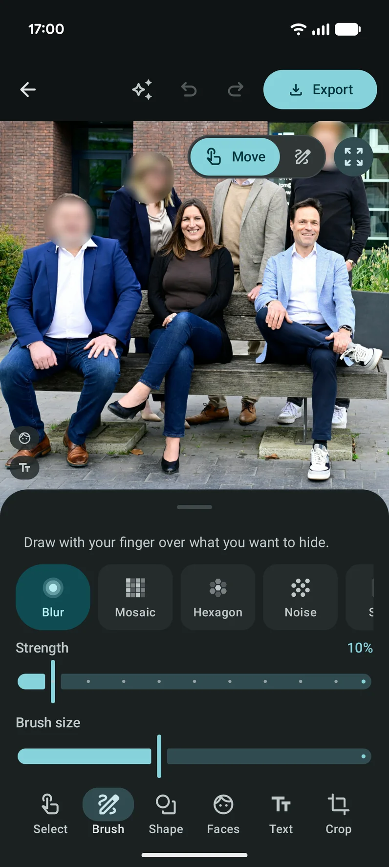 The Omit editor: a photo with hidden areas and the tools at the bottom